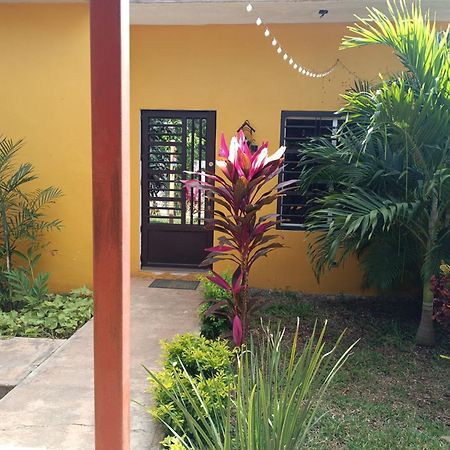 Casa Flores Bacalar Eksteriør bilde